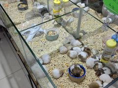 -三旗百汇商品城