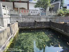 -王氏凉糕(总店)