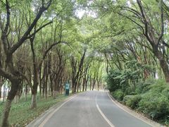 -新洲生态园