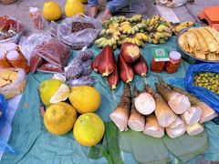 -西双版纳基诺山寨