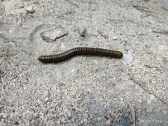 -碓臼峪自然风景区