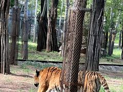 -秦皇岛野生动物园