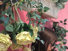 -千龙湖生态旅游度假区