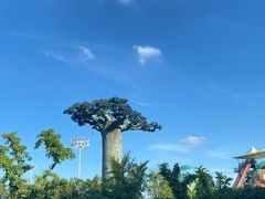 -苏州乐园森林水世界