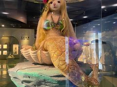 -成都泰迪熊博物馆