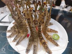 红剑基围虾-璞御·海鲜·雪花牛肉局(宾水西道店)