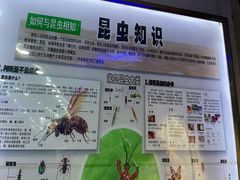-上海大自然野生昆虫馆