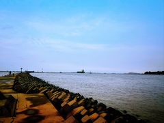 -上海吴淞炮台湾国家湿地公园