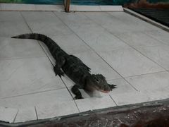android_upload_pic-上海大自然野生昆虫馆