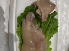 -丁老爷子苏香圆