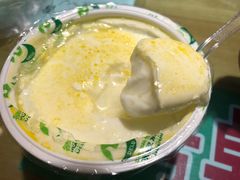 -德禄酸奶(莫家街店)