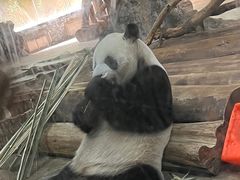 -海南热带野生动植物园