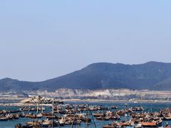 -春妮海味饭店·海景餐厅·海菜包子·大连海鲜