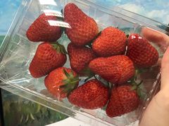 -鲜丰水果(杭州庆春银泰店)