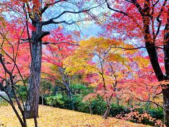 -常寂光寺