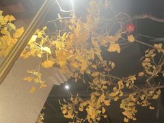 -小京华楼·京味斋(三元桥国展店)