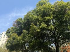 -复旦大学附属华山医院(总院)