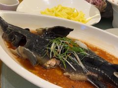 -华膳楼·安徽地标美食·中华餐饮名店(文化公园店)