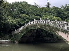 -梅园