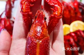 Xinwang Lobster
