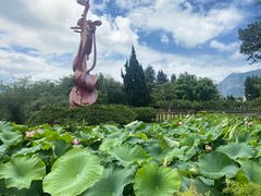 -云南民族村