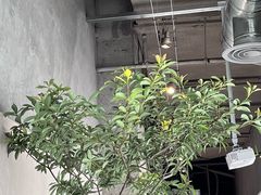 -喜茶(珠海华发商都店)