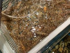 -东宴(温岭店)