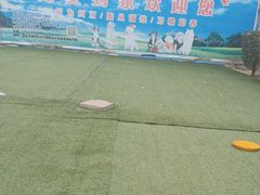 -宠物寄养训练学校