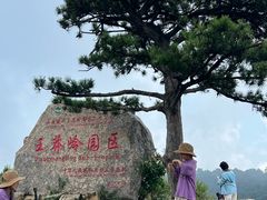 -王莽岭风景区