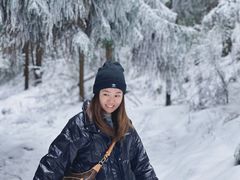 -武陵山森林公园
