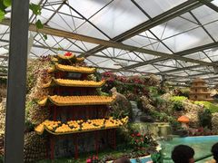 -兰陵国家农业公园