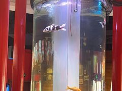 -秤砣砣·湖南粉面馆(青年路店)