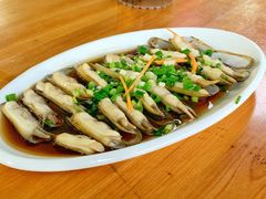 -江南村海鲜馆(洞头店)