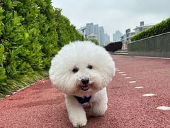 -Manner Coffee(徐汇滨江店)