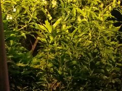 -福州工人文化宫