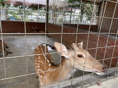 -迪茵湖田家舍生态农场