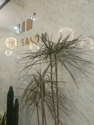 大厅-3AM HAIR SALON烫发染发接发