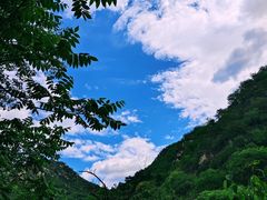 -大岭沟猕猴桃谷风景区