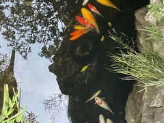 -鲍师傅糕点(海陵北路店)