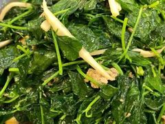 -外滩1288花园丽舍