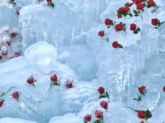 -洛阳白云山景区