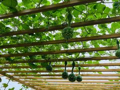 -中国天府农业博览园