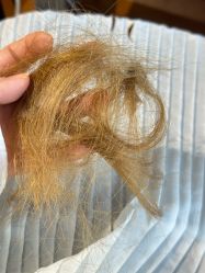 -Some Hair