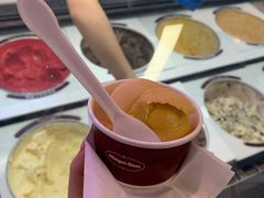 芒果雪芭-哈根达斯(天河城店)