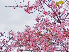 -园林宾馆·鸿运楼(越山路店)