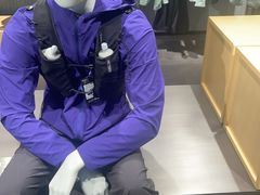 -ARC'TERYX始祖鸟(北京王府中环店)