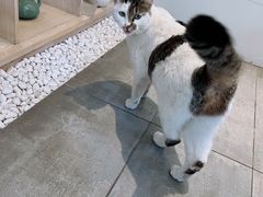 -正清和·推拿养生(第五郡店)