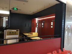 -南枝记