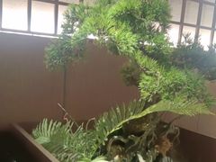 -湘邻呷铺·田园家宴(汉基广场店)