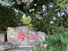 -玲珑塔公园